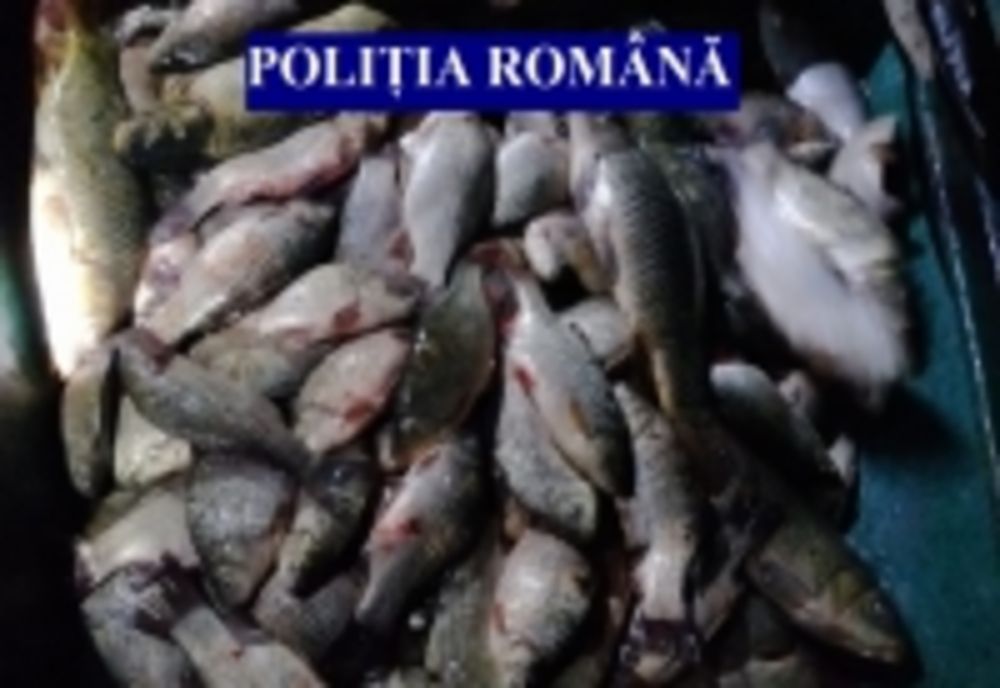 Acţiune a poliţiştilor ilfoveni pentru prevenirea şi combaterea faptelor ilegale din domeniul piscicol