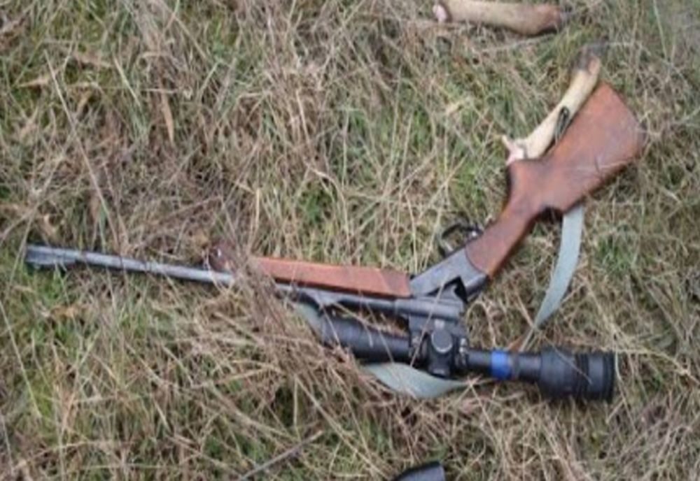 Ilfov: Dosare penale pentru braconaj cinegetic