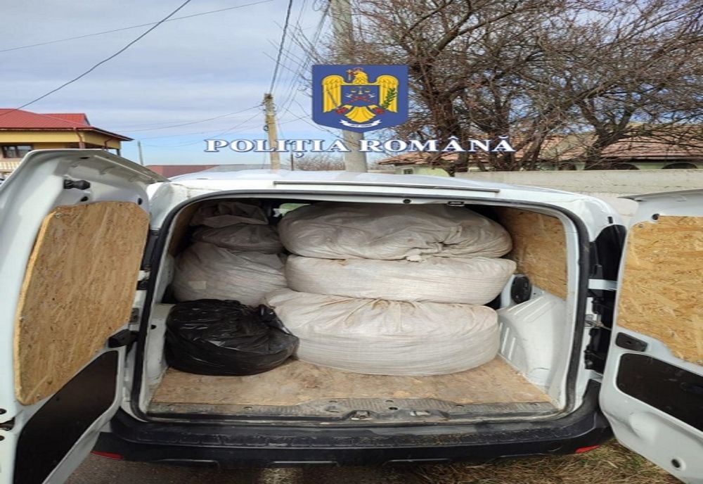 Percheziții în Ilfov și Călărași. Şapte persoane au fost aduse la audieri