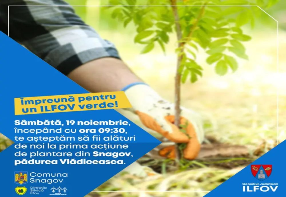 Peste 7.000 de puieţi vor fi plantaţi în Ilfov