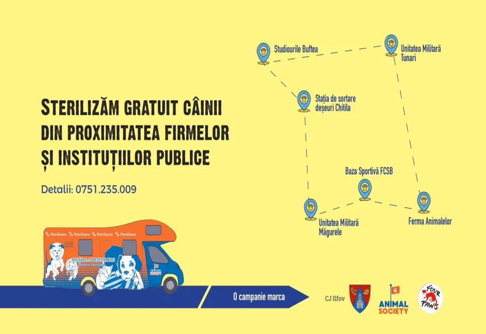 Ilfov. Câinii din proximitatea firmelor ori instituțiilor publice vor fi sterilizați gratuit