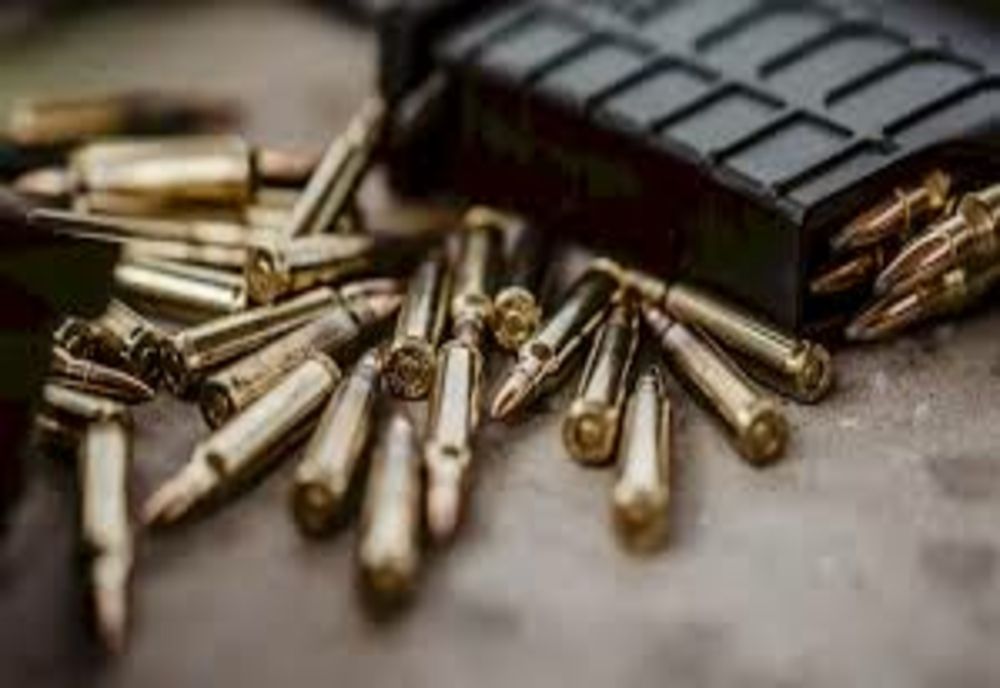 Un încărcător de pistol cu 15 cartuşe, găsit la o groapă de gunoi din Ilfov