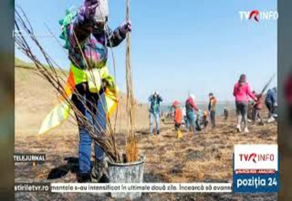 Ilfov. Ziua Pământului, celebrată prin acțiuni de ecologizare. 100 de voluntari au curățat Pădurea Băneasa, care era sufocată de gunoaie