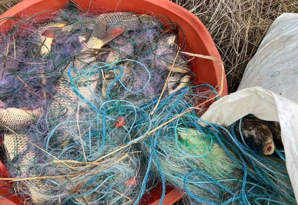 Ilfov. Dosar penal pentru un bărbat prins la braconaj piscicol pe lacul Snagov