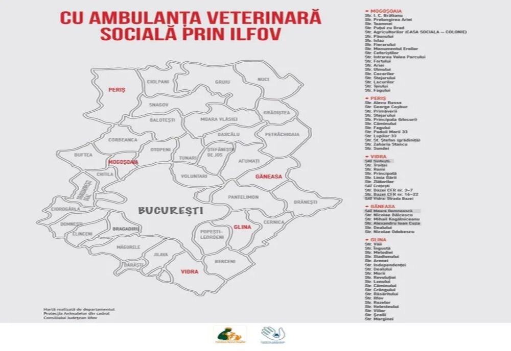 Cu ambulanța veterinară prin Ilfov, un nou proiect-premieră al Consiliului Județean Ilfov