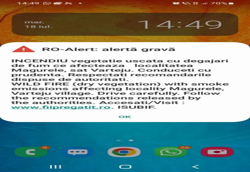Ilfov. Incendiu de vegetație între Bragadiru și Măgurele