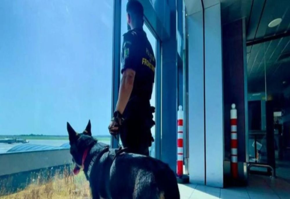 Peste 4.000 de pachete cu ţigări de contrabandă, descoperite pe Aeroportul Internaţional Henri Coandă, cu ajutorul câinelui Ebasa