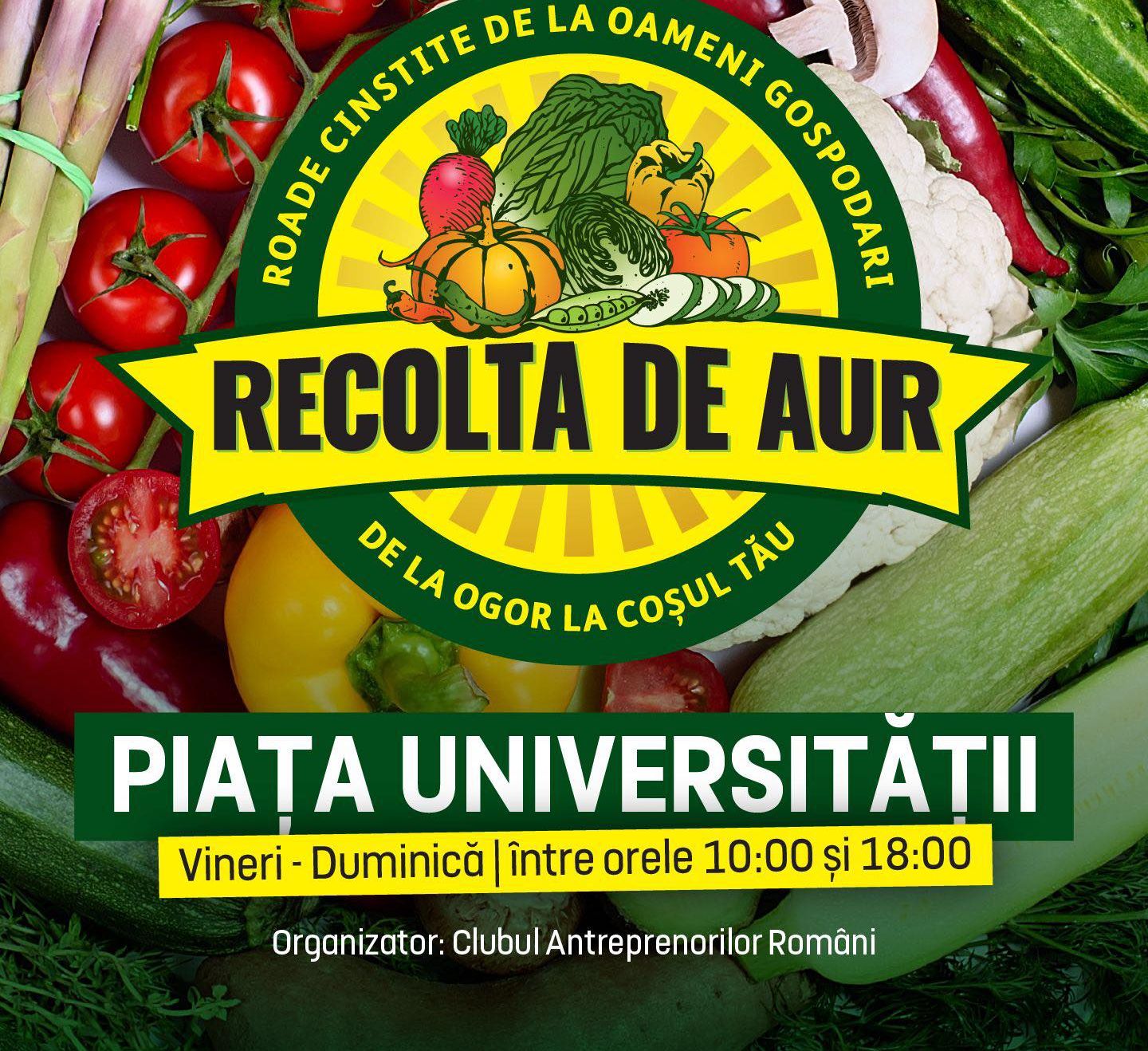 554822805_1103184648632489_3224227948275896697_n