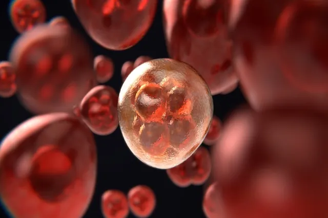 Un simplu test de urină poate depista cele mai multe cazuri de cancer de vezică urinară