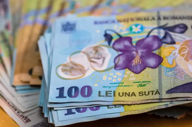 Veniturile unei gospodării din România au trecut de 10.000 de lei pe lună. Câți bani se duc pe cheltuieli