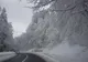 El Niño și vortexul polar ar putea aduce o iarnă extremă. Europa, amenințată de valuri severe de frig
