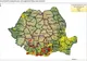 Situația privind evoluția pestei porcine africane la nivelul județului Ilfov