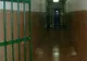 Doi deținuți de la Penitenciarul Jilava, eliberați din greșeală