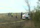 Descoperire macabră pe un câmp din Bragadiru