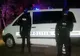 Petrecere privată, oprită de mascați, în Voluntari