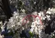 MĂRȚIȘOR 2021 - Tradiții și obiceiuri