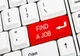 Aproape 300 de locuri de muncă vacante în Ilfov  