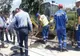 Ilfov. DJ 401 va avea piste pentru biciclete și trotuare de calitate superioară