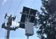 10 camere video, montate în Domnești pentru a preveni abandonul câinilor 
