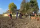 Ilfov. Plantare de arbori la Ștefăneștii de Jos