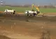 Exproprierile la autostrada de centură a Bucureștiului, în atenția Guvernului