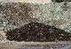 Popești-Leordeni: Investiție de 10 milioane de euro pentru o nouă fabrică de reciclare a deșeurilor de sticlă 
