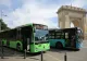 Șapte linii de autobuz modificate în zilele de weekend pentru desfășurarea evenimentului „Străzi Deschise”