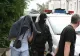 Gardian de la Penitenciarul Rahova, reţinut că a luat mită 3.000 de euro pentru a introduce în mod ilicit în unitate substanţe interzise