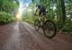 Ilfov. Primăria Pantelimon a început amenajarea primului traseu de biciclete
