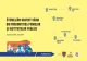 Ilfov. Câinii din proximitatea firmelor ori instituțiilor publice vor fi sterilizați gratuit