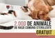 Ilfov. S-a trecut pragul de 2000 animale de rasă comună, câini şi pisici, sterilizate gratuit