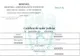 Cazierul judiciar va putea fi descărcat online începând de astăzi