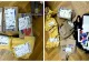 O nouă metodă de înșelătorie în Ilfov. Escrocii se foloseau de o aplicație de curierat pentru a-și însuși telefoane de ultimă generație, fără vreun cost