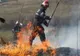 Incendiu de vegetație în apropierea Aeroportului Otopeni, cu extindere la un saivan de oi
