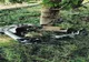 Giurgiu. Un bărbat aflat pe un scuter electric a fost accidentat mortal de o maşină. Şoferul, care a fugit de la locul accidentului, a fost reţinut