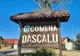 AUR ACUZĂ CONSILIUL LOCAL DASCĂLU (ILFOV) CĂ REFUZĂ SĂ FACĂ PUBLICE ȘEDINȚELE ÎN CARE SE APROBĂ ACHIZIȚIILE PUBLICE